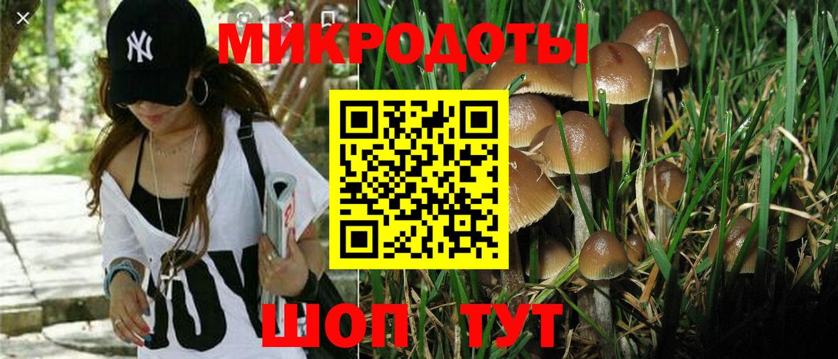 Галлюциногенные грибы Cubensis  Вход с VPN  Электросталь  Галлюциногенные грибы Psilocybe 