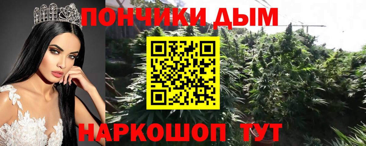 Шишки марихуана сатива Электросталь